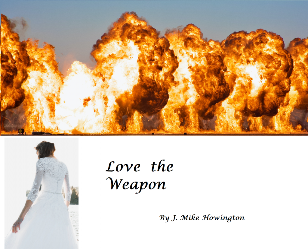 Love The Weapon cover