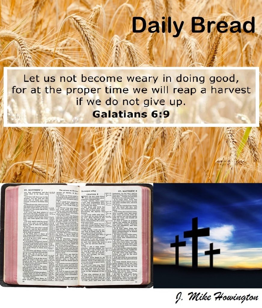Daily Bread Galatians 6:9