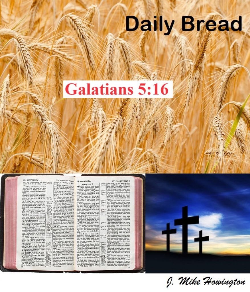 Dly Brd Galatians 5:16