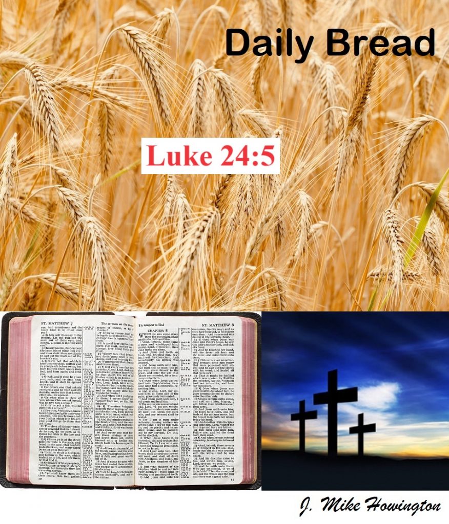 DB Luke 24:5
