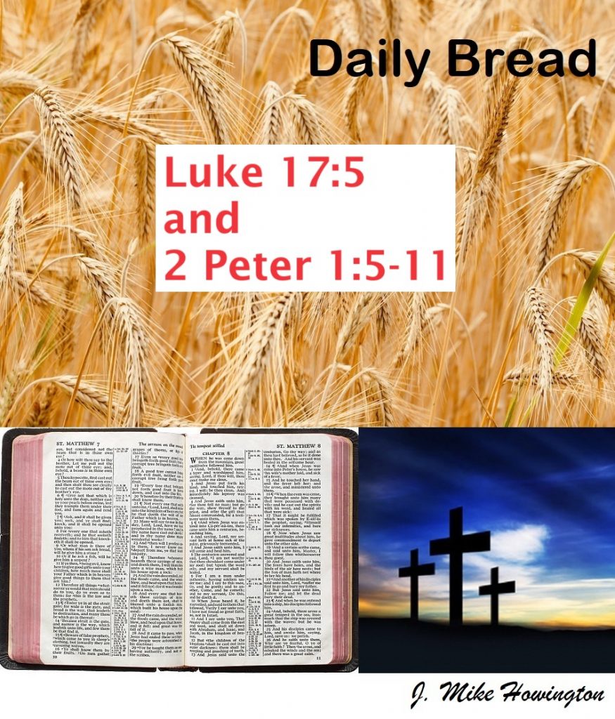 DB Luke 17:5 and 2 Peter 1:8-11